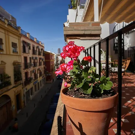 Casa Pureza Pensión *
